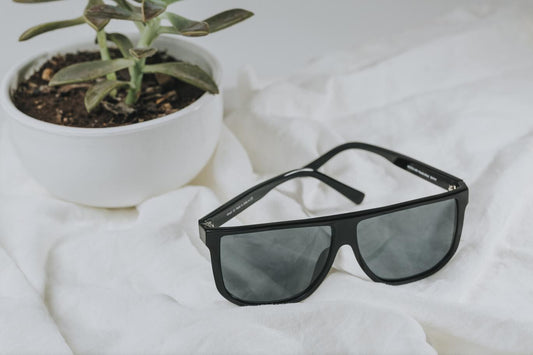Black Omani sunglasses on a sheet next to a plant